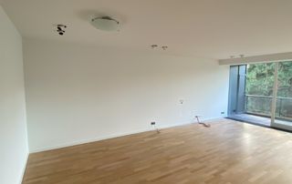 pièce après travaux : peinture et parquet